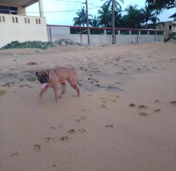 ペンション Our Little Secret