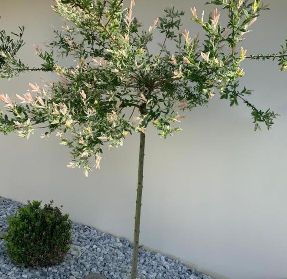 مبيت وإفطار L’autre Nuit