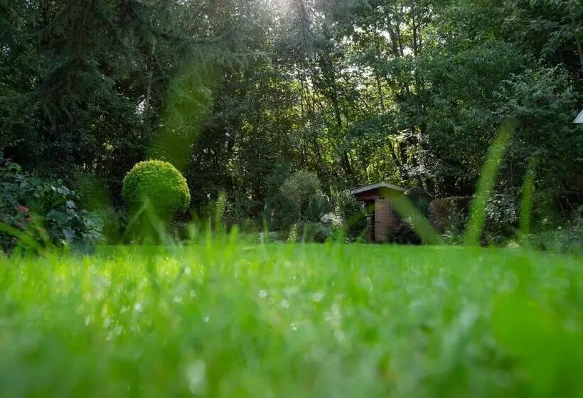 Aamiaismajoitus (B&B) Le Nid Du Massereau