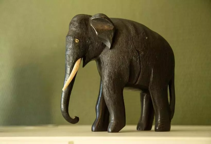 Aamiaismajoitus (B&B) Le Nid Du Massereau