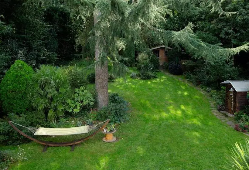 Aamiaismajoitus (B&B) Le Nid Du Massereau