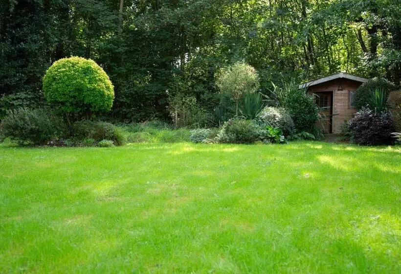 Aamiaismajoitus (B&B) Le Nid Du Massereau