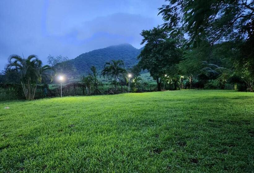 Hotel Palm Tree Holidays Resort