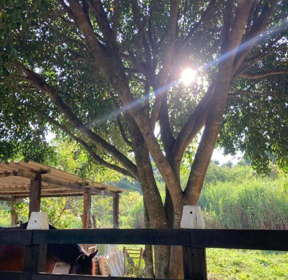 ペンション Sítio Dom Pedrito