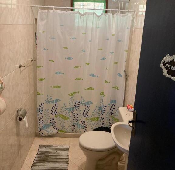 ペンション Sítio Dom Pedrito