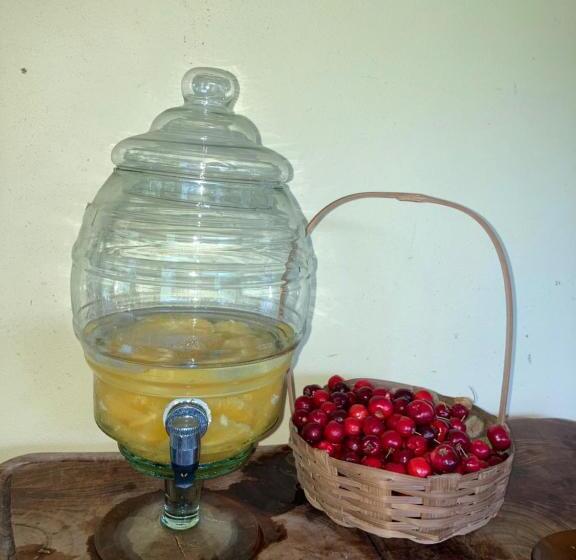 ペンション Sítio Dom Pedrito