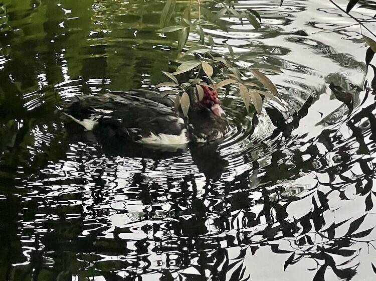 민박 Casa Naturaleza