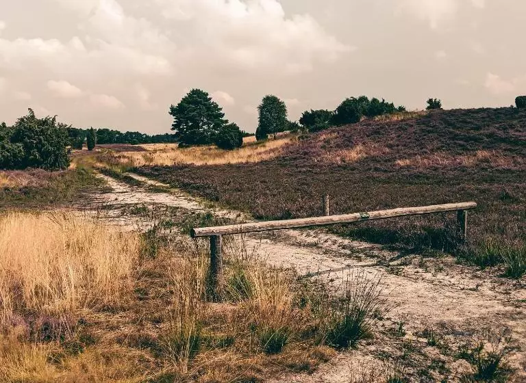 Hotelli Am Naturschutzpark