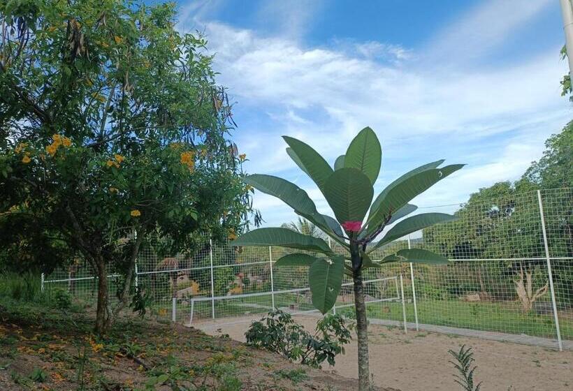 Hotel Pousada Chácara Pau   Brasil