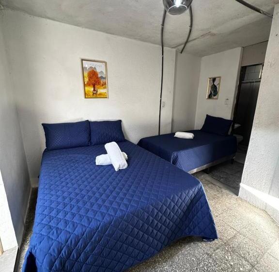 پانسیون Casa Magnolia