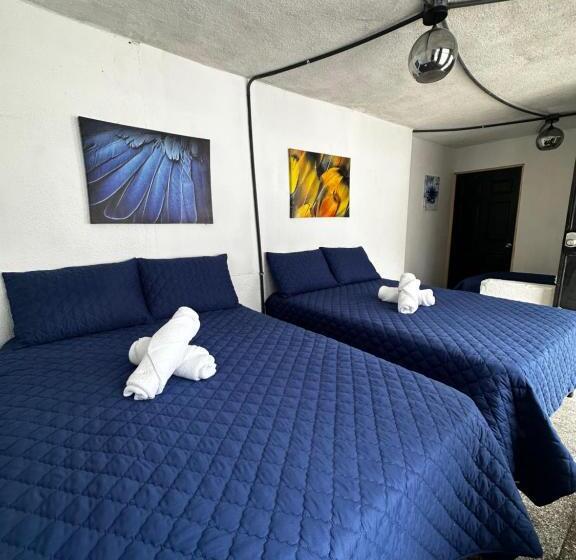 پانسیون Casa Magnolia