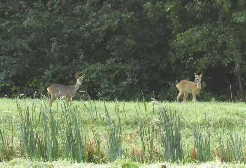 Bed & Breakfast Appenseweg