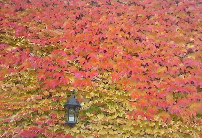 تختخواب و صبحانه Au Pré Du Moulin