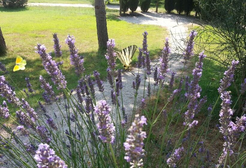 צימר Villa Des Cammaous