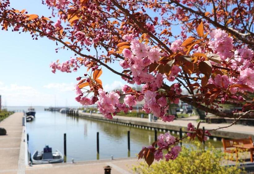 فندق Deutsches Haus Zimmer 19