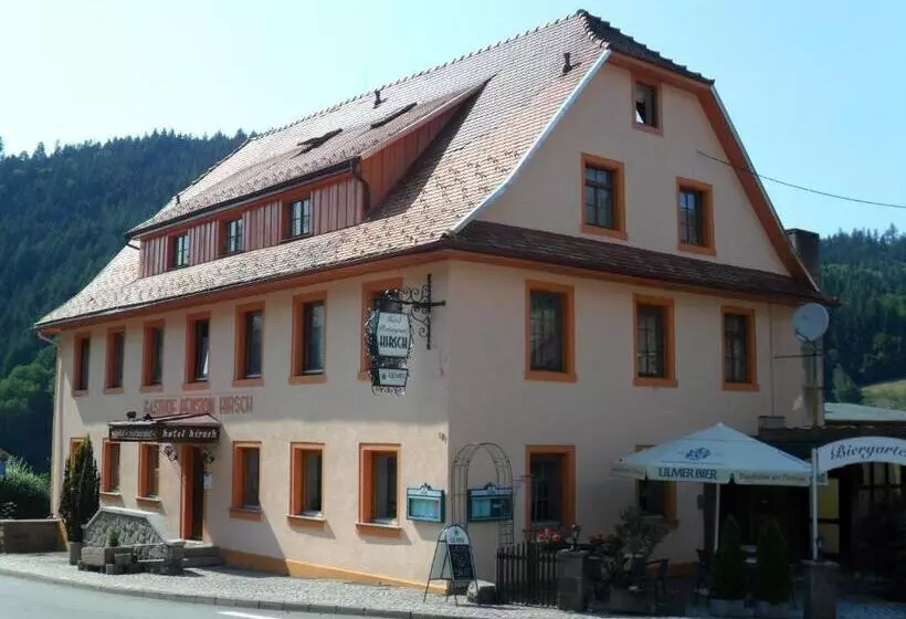 Hotel Hirsch