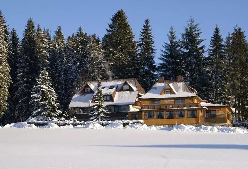 Hotelli Restaurant Peterle