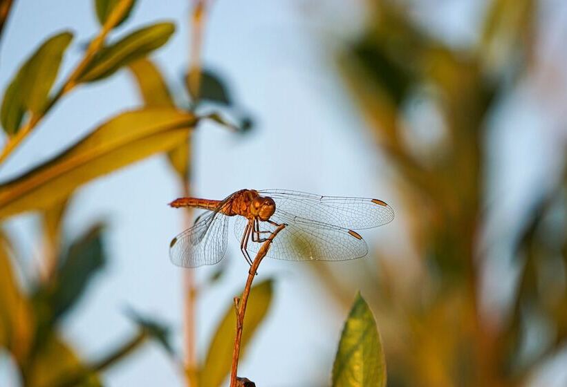 Sonnenhof Damnatz  Hotel Garni