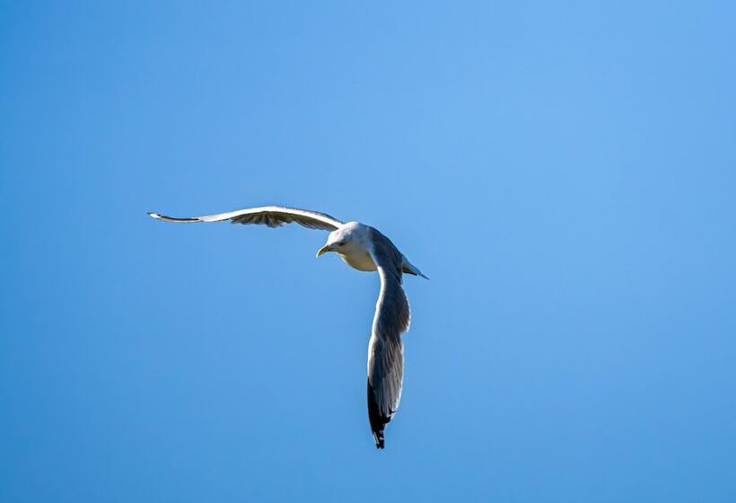 Sonnenhof Damnatz  Hotel Garni