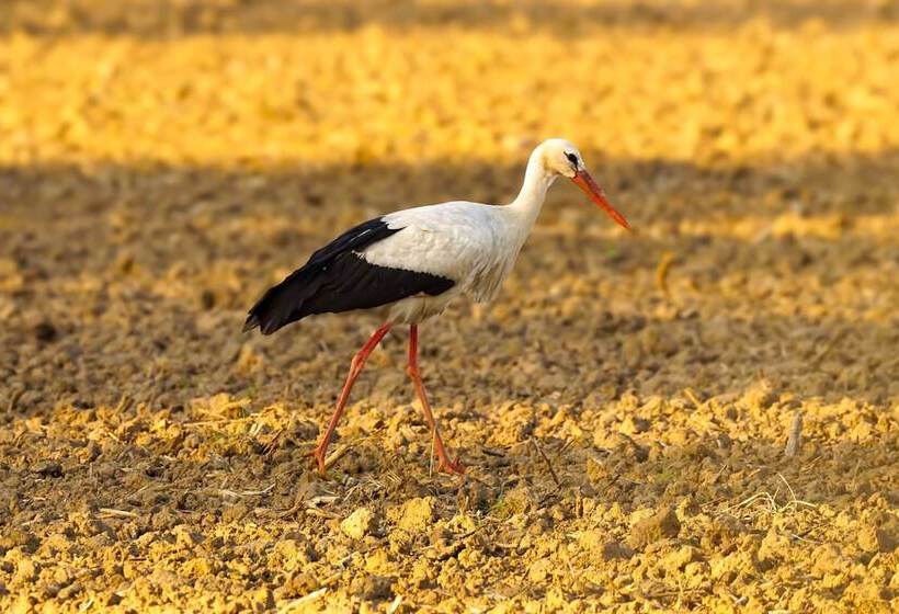 Sonnenhof Damnatz  Hotel Garni