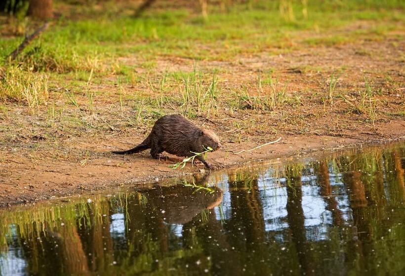 Sonnenhof Damnatz  Hotel Garni