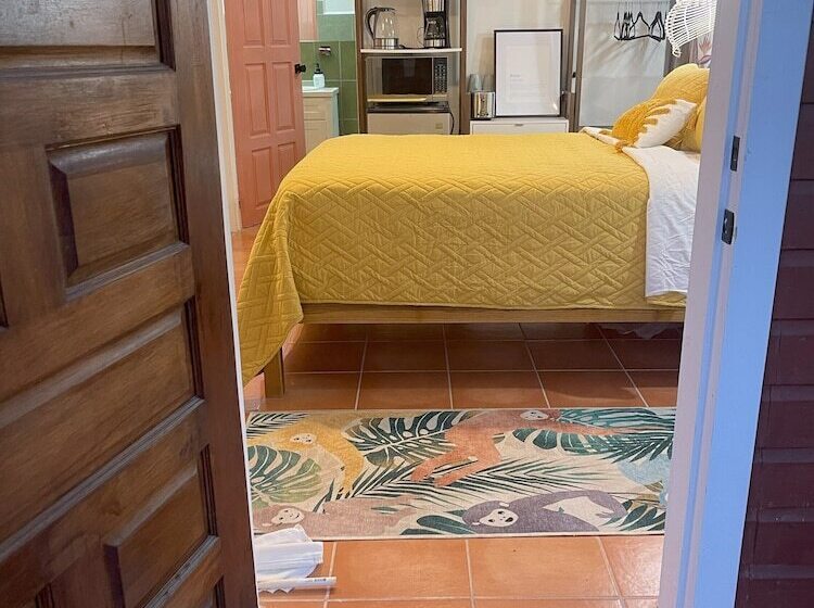 بنسيون Alux House