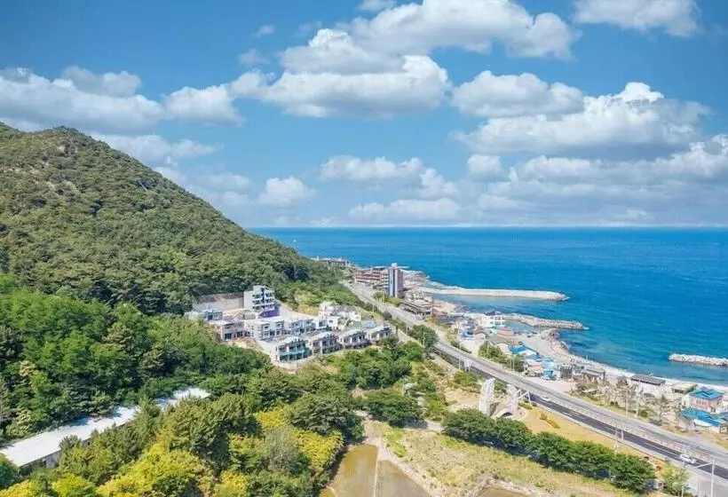 Heart Blue Road Town Pension