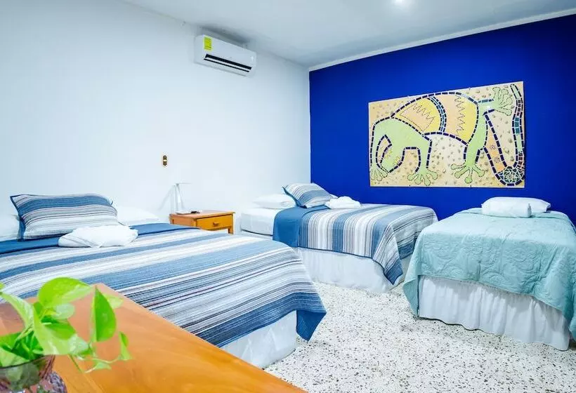 هتل Boutique Mosaico