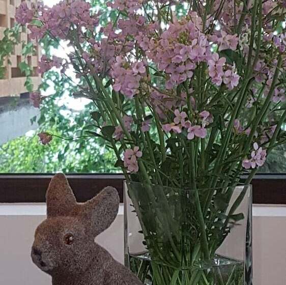 هتل Nicole Kopaonik