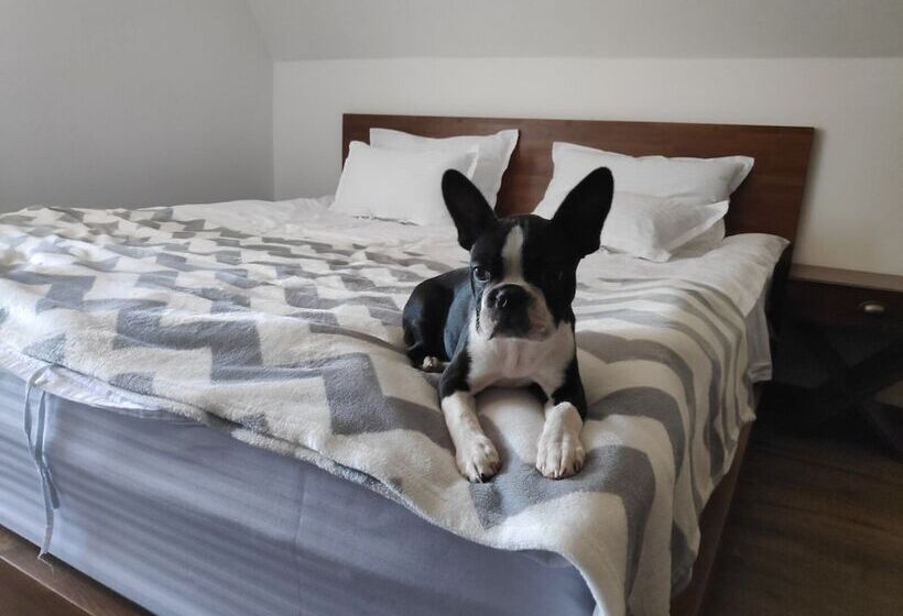 هتل Nicole Kopaonik