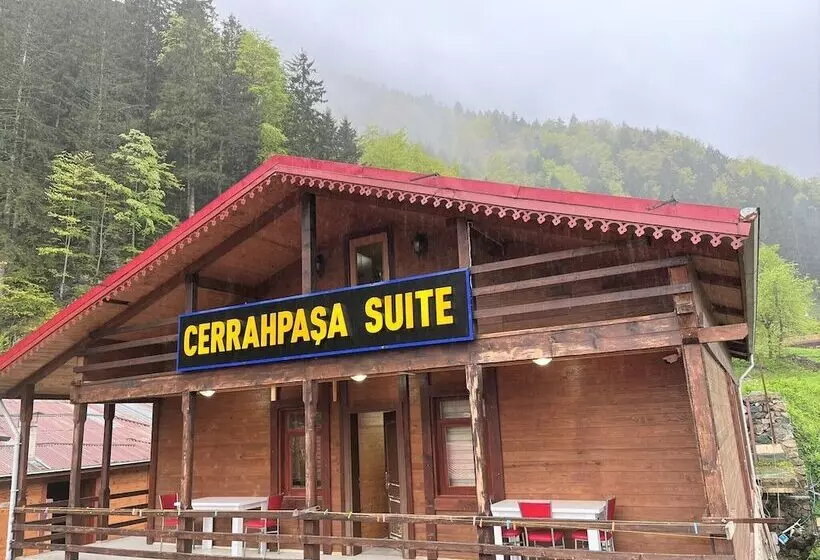 ホテル Uzungol Cerrahpasa Suites