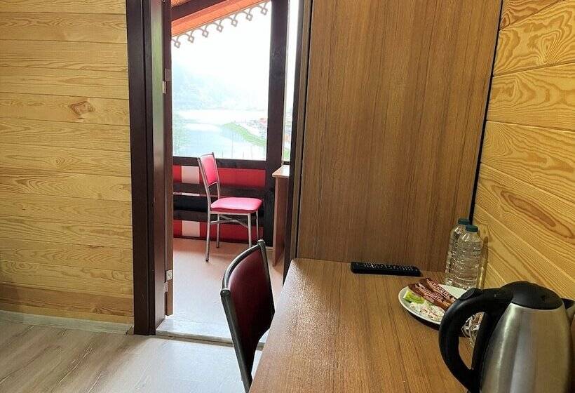 ホテル Uzungol Cerrahpasa Suites