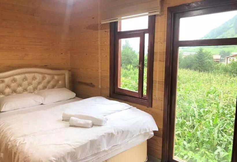 ホテル Uzungol Cerrahpasa Suites