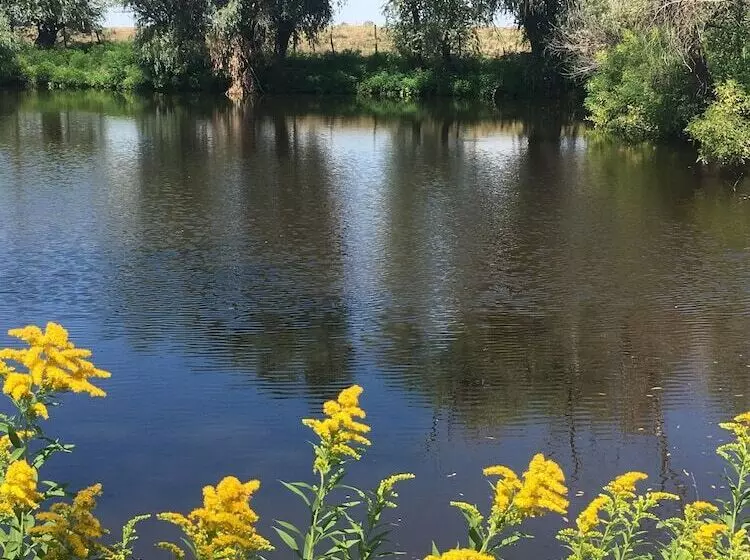 Pensiune Isaccea Souvenir