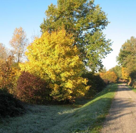 مبيت وإفطار Chambre D Hôtes Le Pigeonnier De Quittimont