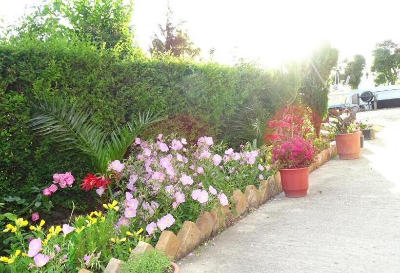 Отель Alba-gert