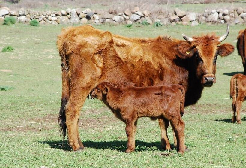 בית מלון כפרי Antica Dimora Del Gruccione, Albergo Diffuso