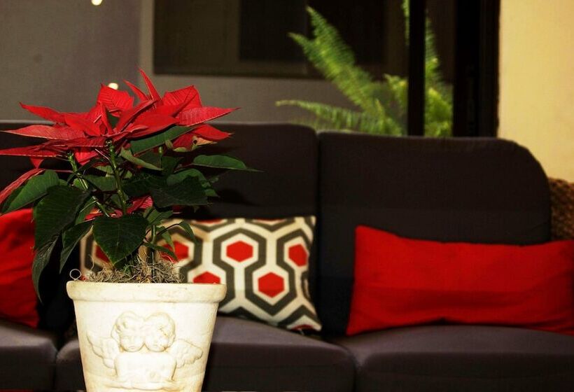 酒店 Meson De Maria