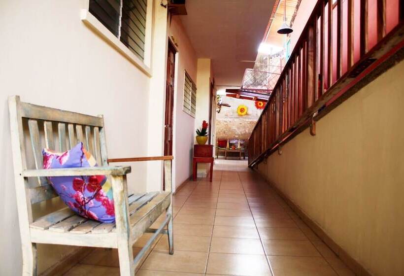 酒店 Meson De Maria