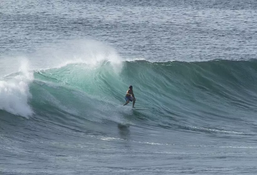 پانسیون Ayodhya Guest House Uluwatu