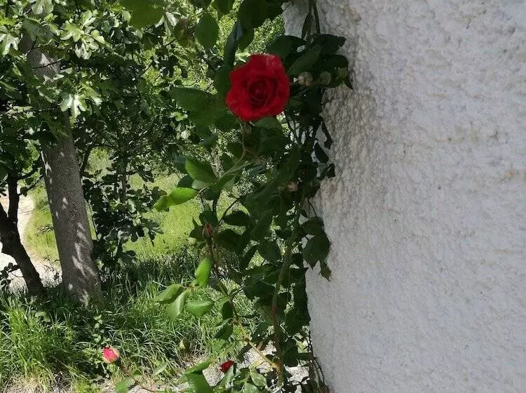 Majatalo Dal Rosso