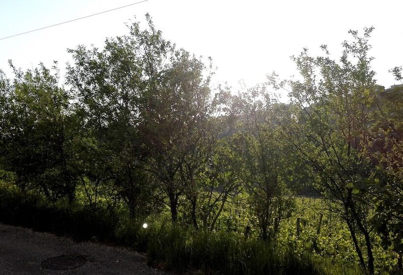 بنسيون Dal Rosso