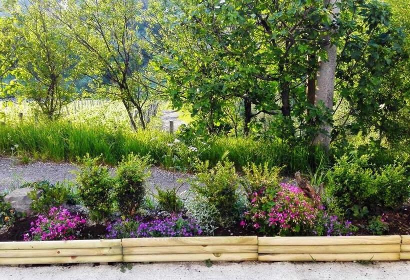 بنسيون Dal Rosso