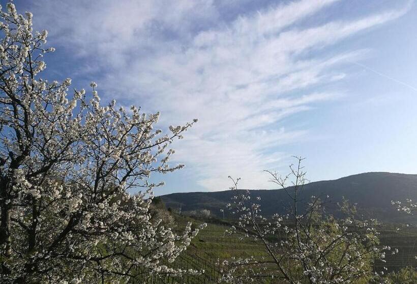 بنسيون Dal Rosso