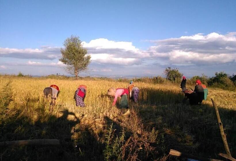 پانسیون Golden Kalaw Inn