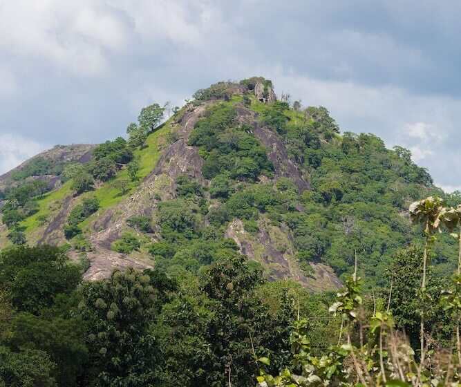 منتجع Jetwing Lake
