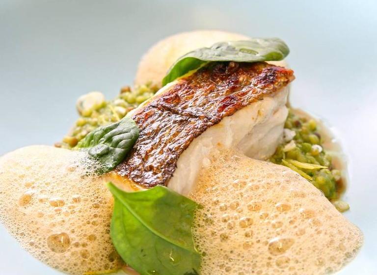 Appartements Design Marseille  Terras