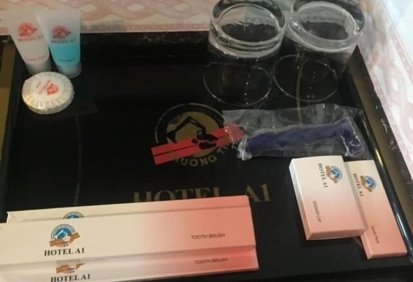 A1 Hotel Dien Bien Phu