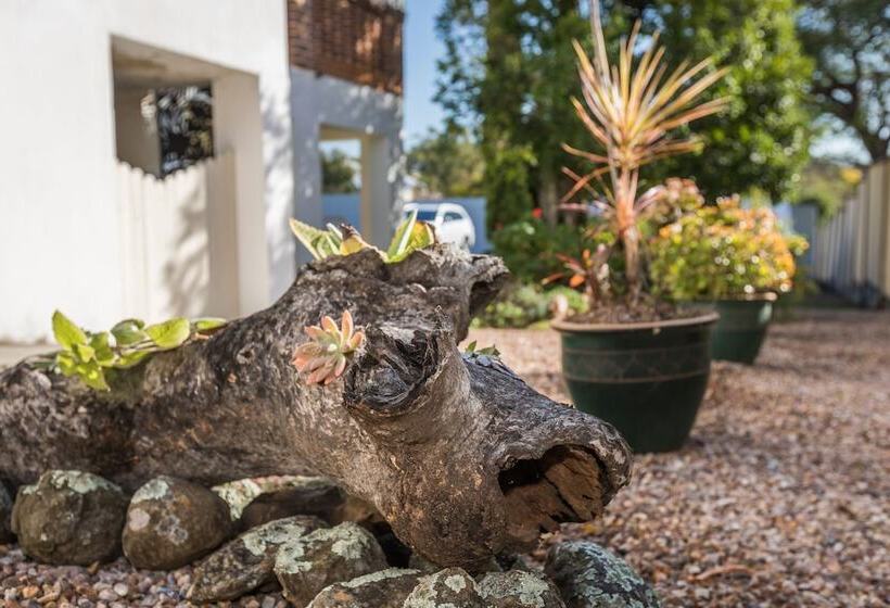 ホテル Cumquat House