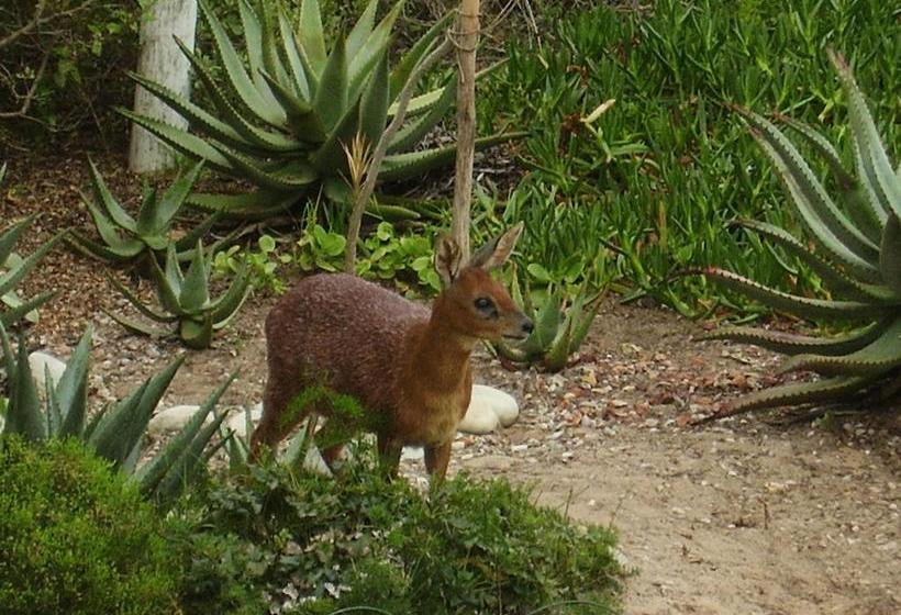 酒店 Escape To Beautiful Mossel Bay